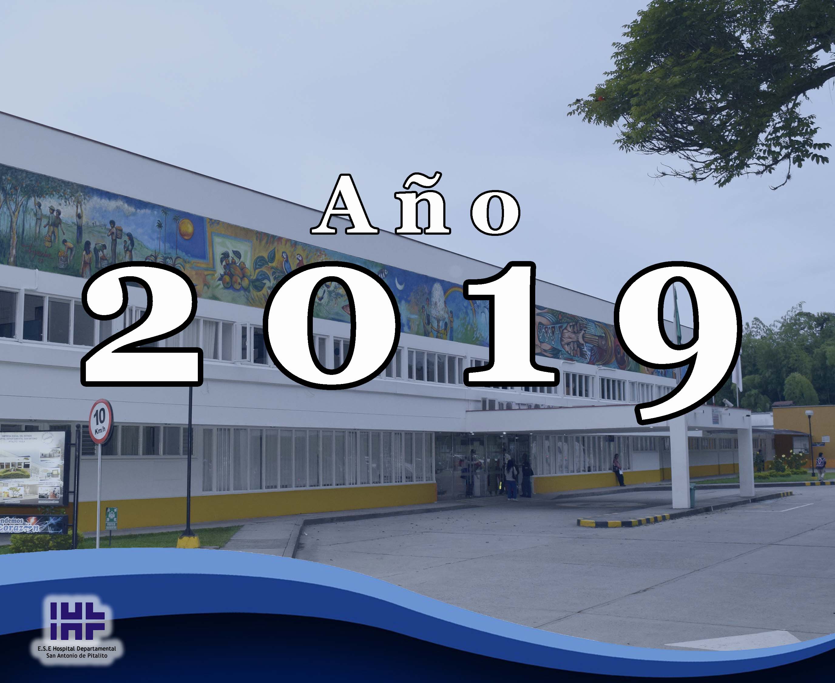 Álbum Año 2019